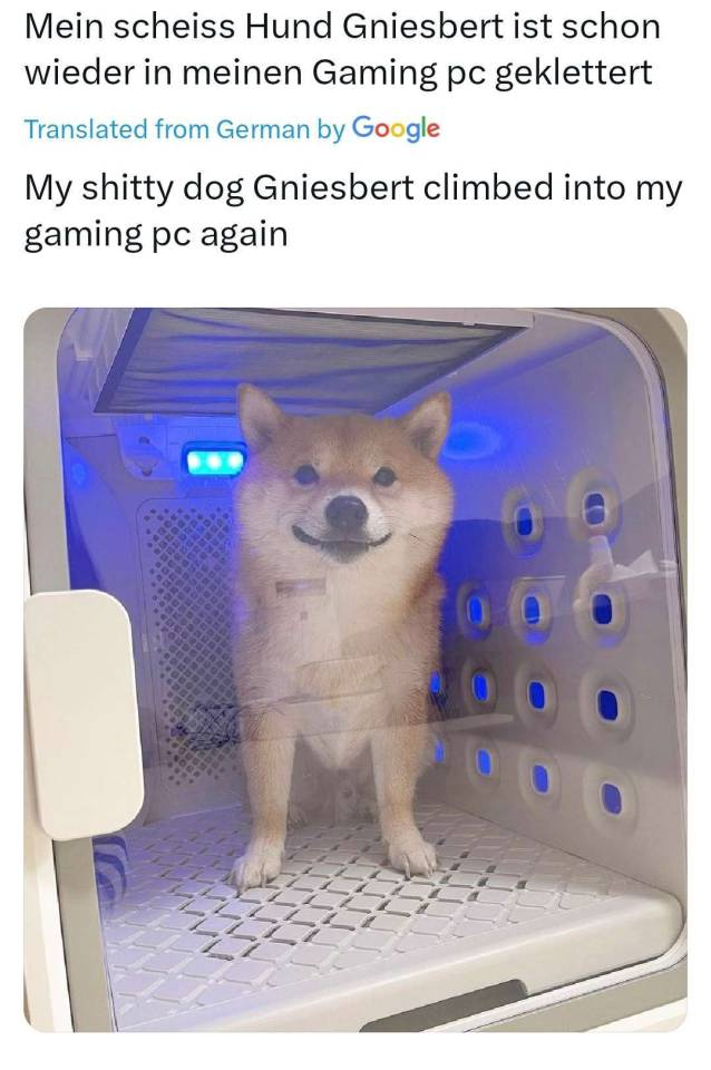 Posted media